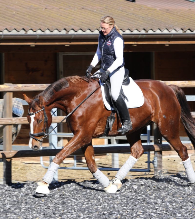 WhatsApp Image 2026-03-26 at 11.00.57