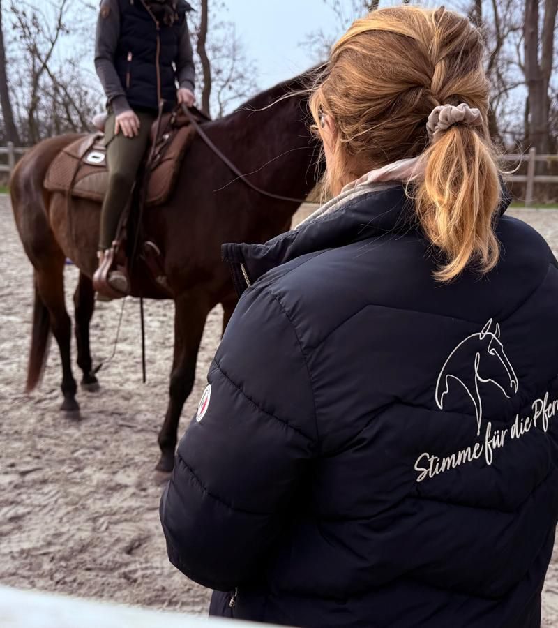 WhatsApp Image 2026-03-28 at 15.02.34